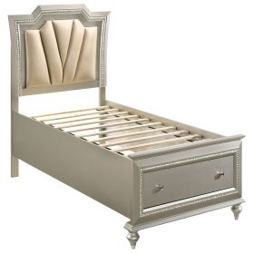 Beige and Champagne Storage Bed with LED Lighting