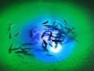 Apollo Iris Underwater LED Lighting System